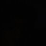 Rene Mijangos's profile picture