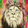 Profilbild von JDonatus