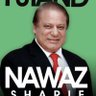Ghazanfar Saeed's profile picture