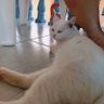 คนดี คนเดิม😸's profile picture