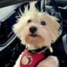 Teenie Tinie Tillie's profile picture