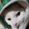 M M's profile picture