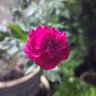 Matseh profil fotoğrafı