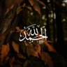 Profilbild von الحمد لله ♥️