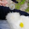 あやたろ🦁🐭ロットン福岡熊本's profile picture