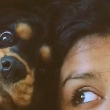 Iris 🦆's profile picture