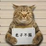 Фото профиля 七仔低气压