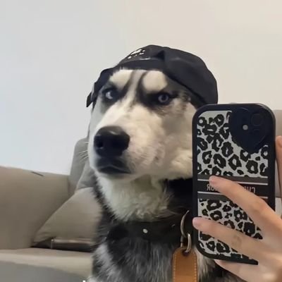 🐶色狗🐶's profile picture
