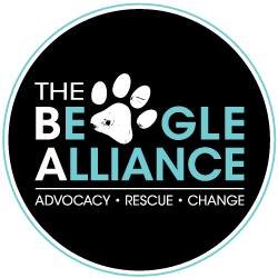 The Beagle Alliance's profile picture