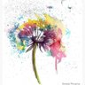 Dandelion profil fotoğrafı