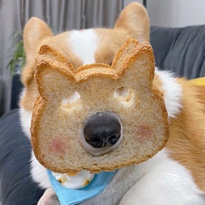 vvya614888's profile picture