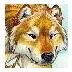 Jonathan McAnulty profil fotoğrafı