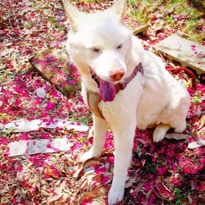 whiteyyyyyyys's profile picture