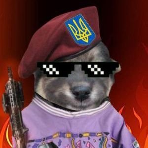 Gulli_ver_sn's profile picture