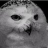Owlcopwn's profile picture