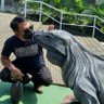 Putu Joyorejo profil fotoğrafı