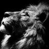 Chiliza's profile picture