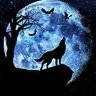 Wolf's profile picture