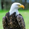 Profilbild von J R