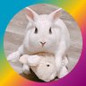 エビゾー🇺🇸🇯🇵人生消化試合🦭's profile picture
