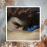 Profilbild von The_Noodle1547