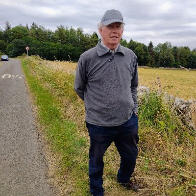 saucepieces's profile picture