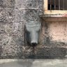 charolya's profile picture