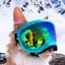 RJ profil fotoğrafı