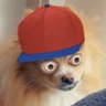 I’ll figure this out later's profile picture