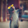 Ratatoufdc's profile picture