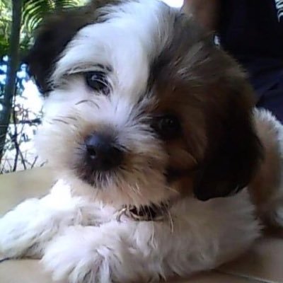 bjviptaeny's profile picture