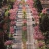 Mulea 的头像