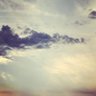 お花ﾉ助 profil fotoğrafı