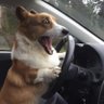 Eilene's profile picture