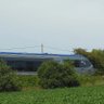 Profilbild von Association Promotion Morlaix Roscoff