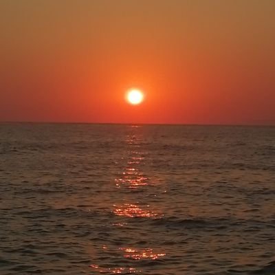 Ameliefrei's profile picture