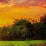 Ch_ abdullh profil fotoğrafı