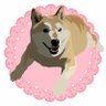 Фото профиля 保護猫たんぽぽと虹の橋の柴犬アンちゃん