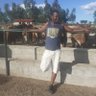 Tapiwa profil fotoğrafı