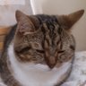 Profilbild von くうたろう