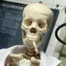 Dinho ᶜᴿᶠ 👽 profil fotoğrafı