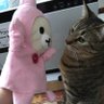 ののの 的头像
