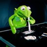 Profilbild von Kermits.Revenge1