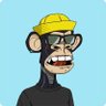 Amir's profile picture