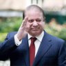 gulfamzafar's profile picture