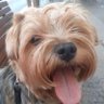 NúñezWilliam's profile picture