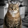 Фото профиля Paul
