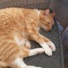 Debs's profile picture