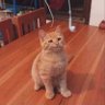 Hi's profile picture