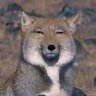 掺和 profil fotoğrafı